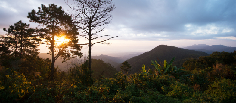 Doi-Ang-Khang