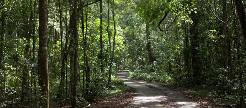 Khao-Yai-1