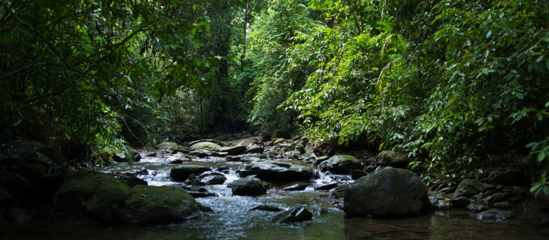 Sri-Phang-Nga-1