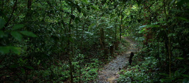 Sri-Phang-Nga-2