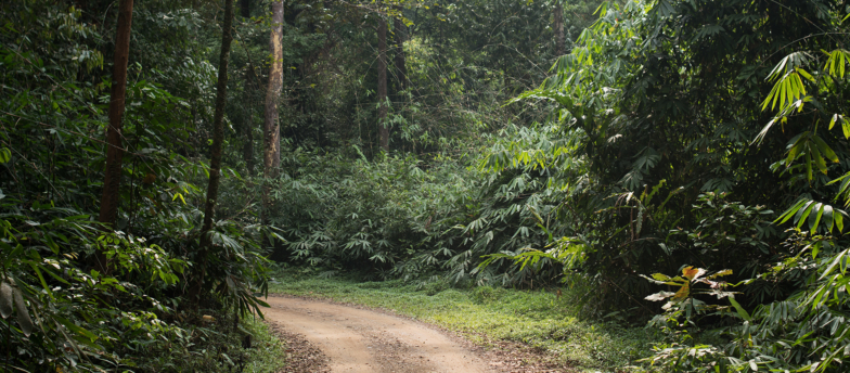 Sri-Phang-Nga-3